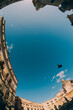 A silhouette of a dove flying over the Praetorian Fountain square in Palermo. Fisheye effect