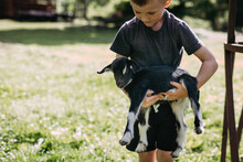 Child Tenderly Holding Baby Goat During Spring Day