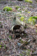 Scrap metal bucket in old forest Kumla Sweden