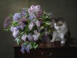 Still life with a bouquet of lilacs and a fluffy cat