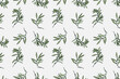 Vector botanical seamless pattern with green olive branches on a white background. Pattern for textiles, wrapping paper, wallpaper, covers.