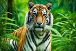 beautiful bengal tiger with lush green habitat background 