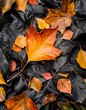 A Close-Up Of Autumn Leaves With Water Drops On Them