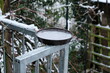 FU 2023-03-08 Schnee 15 In der Schale ist das Wassser gefroren