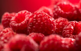 Fototapeta  - Raspberry fresh berries closeup, ripe fresh organic Raspberries over red background, macro shot. Harvest concept
