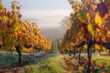 A serene view of a foggy vineyard blanketed with colorful autumn leaves. The image captures a peaceful, picturesque morning with rows of grapevines and a gentle sunrise.