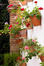 Vivid Red And Pink Flowers In Terracotta Pots Set Against A White Wall, Encapsulating The Essence Of Cordoba, Andalusia, Spain, And The Europe Travel Experience