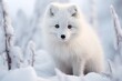 Arctic Wildlife Photography: Arctic Fox Exposure Settings with Stunning Filters