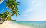 Fototapeta Zachód słońca - tropical beach with coconut palm