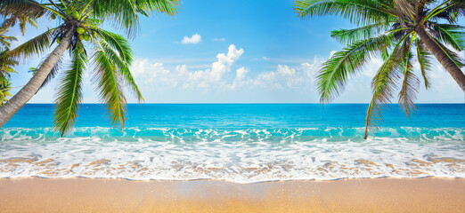 Wall Mural - panorama of tropical beach with coconut palm trees