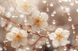 Sakura branch close-up with raindrops on the flowers