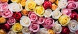 Multicolored roses close-up