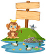 Cute monkey sitting by a pond with ducks and bird.