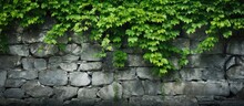 A Stone Wall Covered In Lush Green Leaves