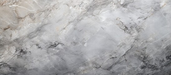 Poster - Close-up of monochrome marble slab