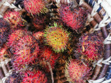 Fototapeta Do akwarium - rambutan exotic fruit