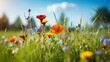 b'Close-up of colorful wildflowers in a green field on a sunny day with a blue sky and white clouds in the background'