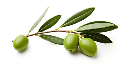 olive branch on white background, center image is blank сreated with generative ai