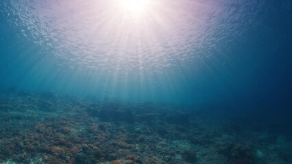 Sticker - Underwater view of the tropical sea with sun shining through the water