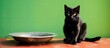 A black feline by a dish on a surface
