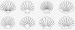 © WorldArt - Set of seashell outline icons. Vector illustration isolated on transparent background