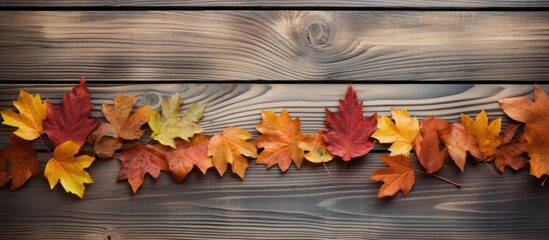 Wall Mural - Autumn leaves on wooden surface