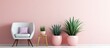 © Ilgun - Pink wall, three planters, chair