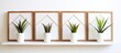 Potted plants on shelf with framed pictures