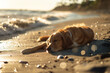 A dog sunbathing on a beach where the sand sparkles and the waves sing lullabies , hyper realistic, low noise, low texture