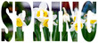 © 0635925410 - Text on the background of cherry blossoms