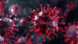 Virus de color rojo vistos a través de un microescopio sobre fondo negro