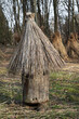 Ancient bee hive made of wood and straw in the garden. Ancient Ukrainian village. Beekeeping.	