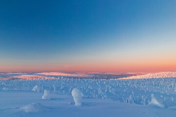 Sticker - landscape with snow