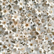 Fondo con detalle y textura de multitud de flores de Edelweiss