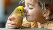 Isolated white background with colored illustration of a young girl with cute adorable budgie kissing a parrot. Happy child holding budgie. Pet owner with pet bird.