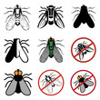 fly logo, stop the fly, insect pest, hand drawn sketch of fly, vector artwork