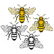 bee logo, honey bee on white background, hand drawn sketch of bee, vector artwork
