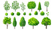© Robert Kneschke - Variety of green trees and bushes in a flat vector illustration