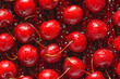 Fresh wet cherries on a dark background with water drops