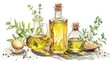 Olive oil, herbs and spices, natural, organic and Mediterranean cuisine