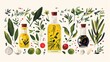 Olive oil, herbs and spices, natural, organic and Mediterranean cuisine