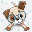 Cartoon Dog in glasses on a white background