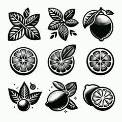 Limes fruit silhouette vector illustration White Background