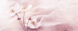 Fototapeta Niebo - Papier dekoracyjny, wzór kwiatowy, puste miejsce, tapeta