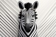black and white zebra paper art illustration