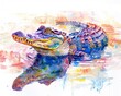 Serene and vibrant watercolor crocodile, bright colors, in a lake, hand drawn style