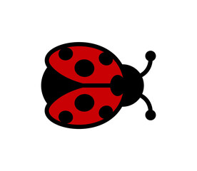 Wall Mural - Vector ladybug icon. Simple ladybird illustration.