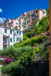 Magic of the Cinque Terre. Timeless images. Manarola, a dream village overlooking the sea