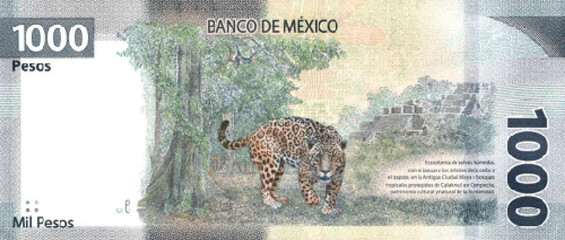 Sticker - Vector reverse high polygonal pixel mosaic banknote of Mexico. Denominations of bill 1000 pesos. Game money of flyer. Part 2