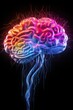 brain, neuron, glow, synapse, neurotransmitter, nerve, impulse, action, potential, dendrite, present, limbic, brainstem, frontal, explain, system, sulcus, axon, aid, cortex, myelin, imbue